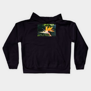 Bird of Paradise or Crane Lily Kids Hoodie